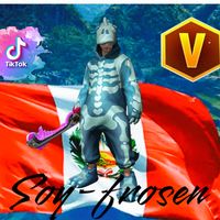 soyfrosen