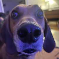 chicagotransitauthority