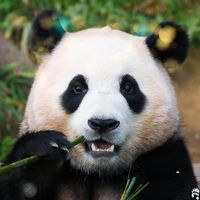cuteanimals_365
