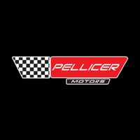 pellicermotors.mx