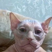 оригинальный звук