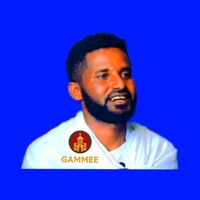 gammee17