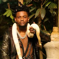 original sound - dperfectbackup