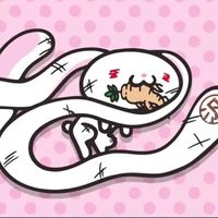 asukapaws