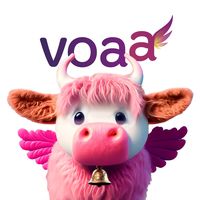 voaavaquinha
