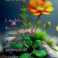 user7556946751327neide