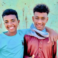 الصوت الأصلي