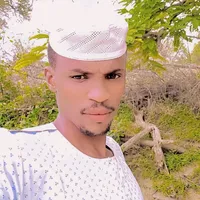 original sound - alsfer90