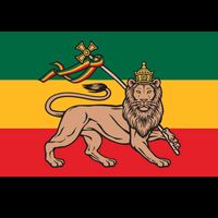portaldoreggae