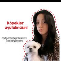 elifipek23