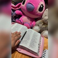 anllely.gonzlez