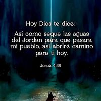 elchaman030
