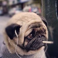 оригинальный звук