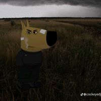 angry_guy66
