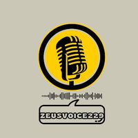 zeusvoice229