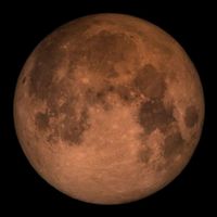 dandandandandandandanda_