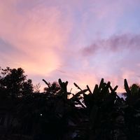 suara asli - hijrahstory 📝