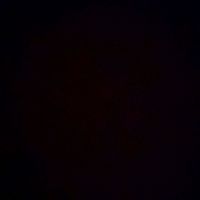.richard_77