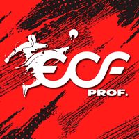 prof.edgarchambiflores