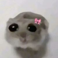 watchthisorliterallydont