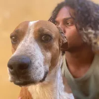 original sound - bobcovardi