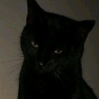 original sound - cortesytbr1