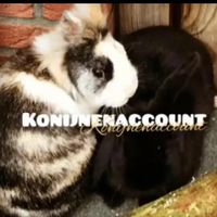 konijnaccount