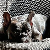 davidm_2802