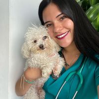 jennifer.veterinaria