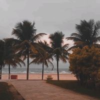 praia..musicas