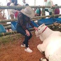 carlitaveracusme15