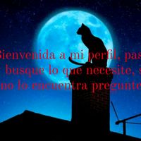 the_capri_86