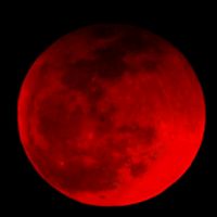 user1532416316330rouse