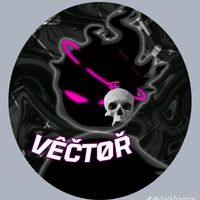 vector1x1