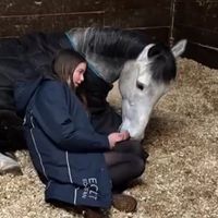 millielawsonshowjumper2