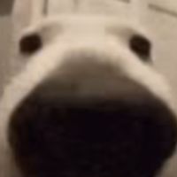 nowherepilla