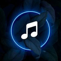 xmusica.x
