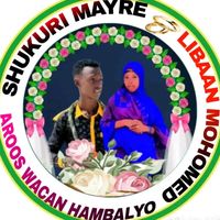 xamdi.shoobare