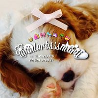 adorbsssmarii