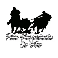 original sound - pravaquejadaeuvou