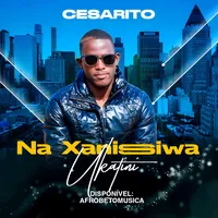 original sound - cesaritoporapora