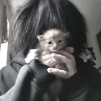 оригинальный звук