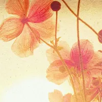 original sound - h2oiove