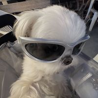 original sound - .-.