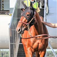 pierp88