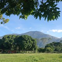caracasparallevar
