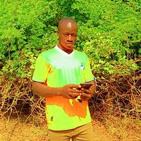 zongodaouda01