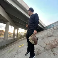 original sound - _wockstxrz