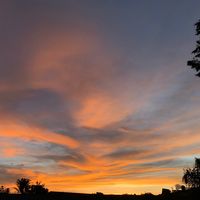 rolitas_03_51