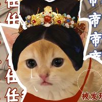 เสียงต้นฉบับ - อูมามิ